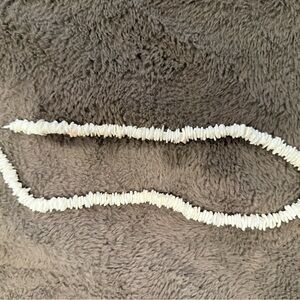 Shell Chip Necklace in Off-White